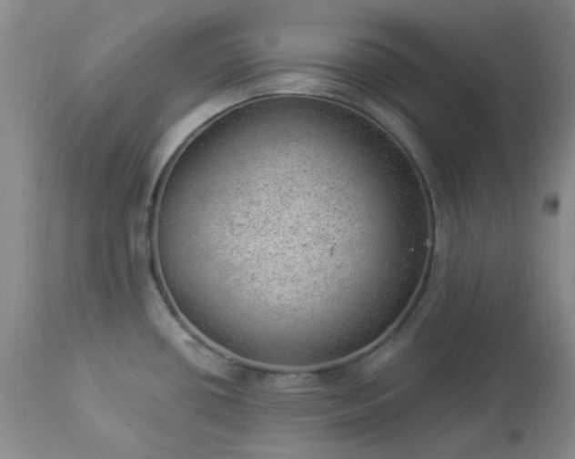 X0000112981434200909031059