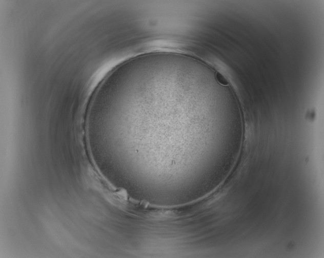 X0000112981435200909031059