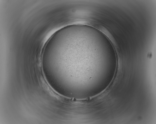 X0000112981436200909031059