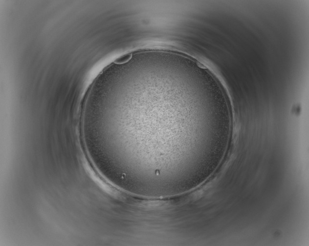 X0000112981437200909031059