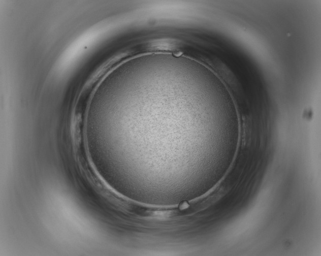 X0000112981438200909031059