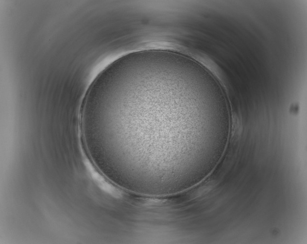 X0000112981439200909031059