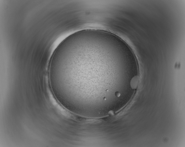 X0000112981440200909031059