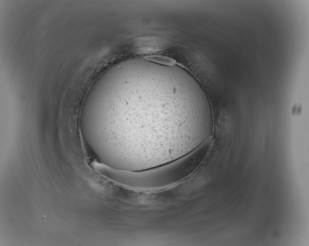 X0000112981441200909031058