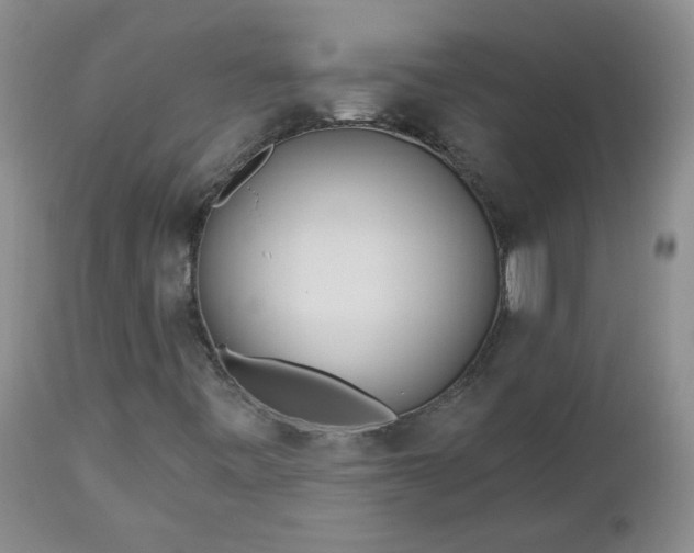 X0000112981443200909031058
