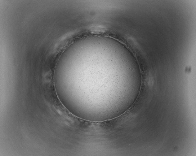 X0000112981445200909031058