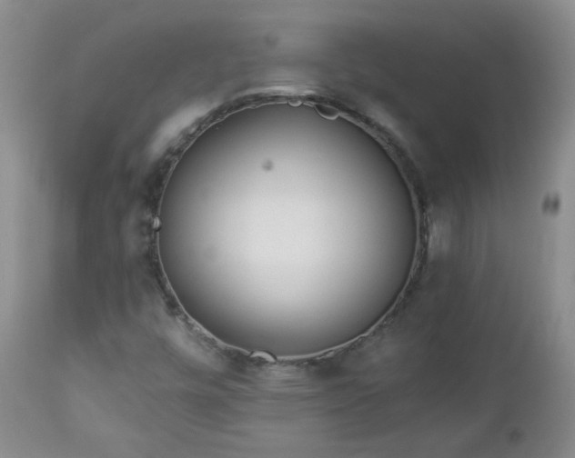 X0000112981448200909031058