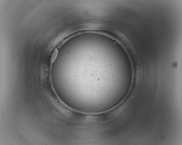 X0000112981449200909031058