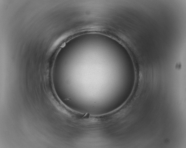 X0000112981450200909031058