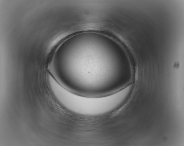 X0000112981453200909031058