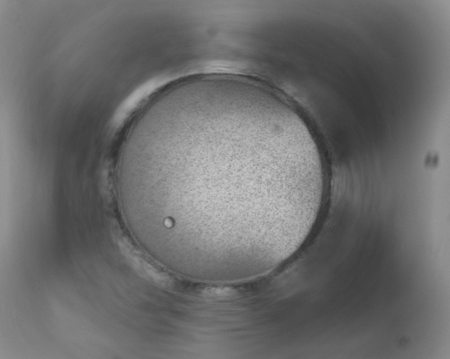 X0000112981454200909031058