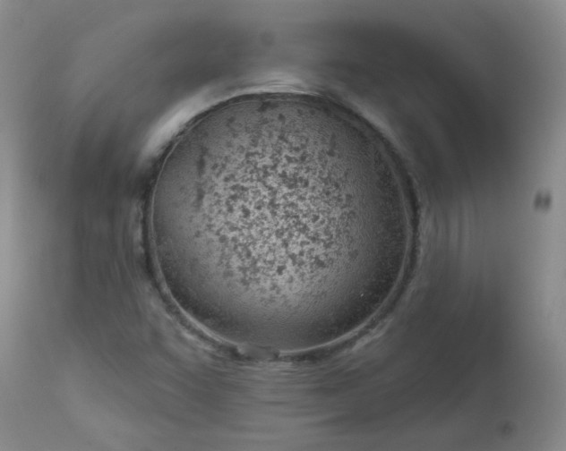 X0000112981455200909031058