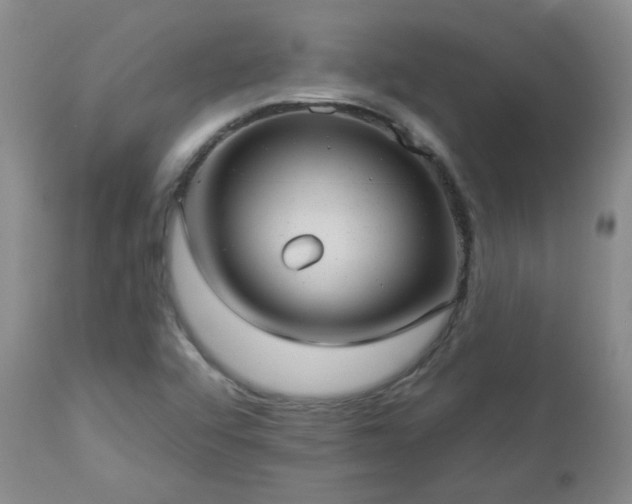 X0000112981456200909031058