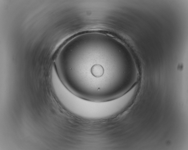 X0000112981457200909031058