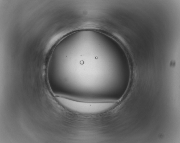 X0000112981461200909031058