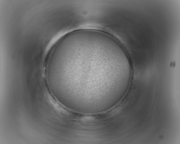 X0000112981462200909031058