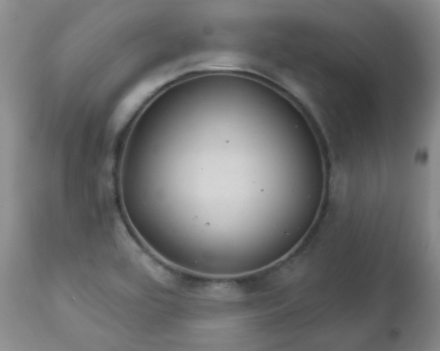 X0000112981464200909031058