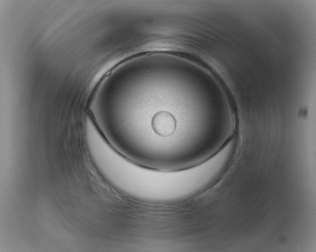 X0000112981465200909031058