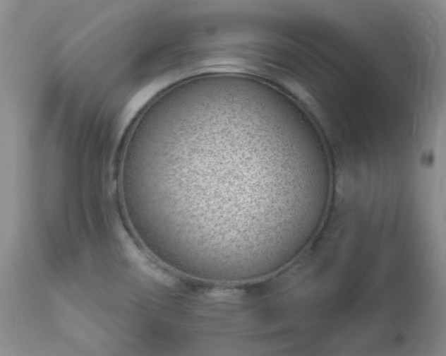 X0000112981466200909031058