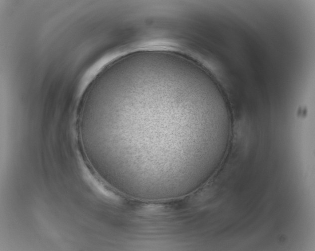 X0000112981470200909031058