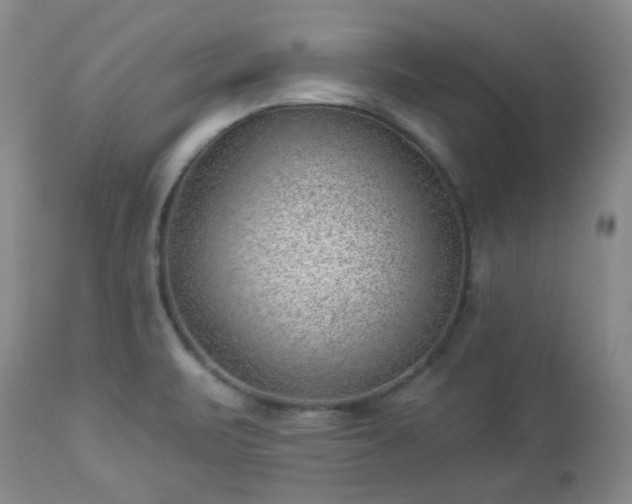 X0000112981471200909031058