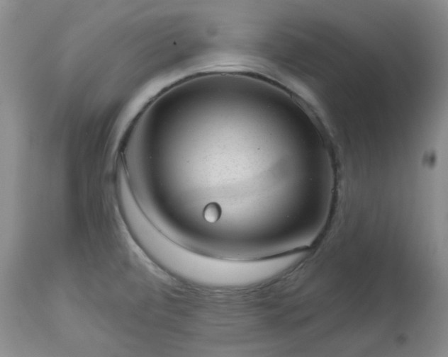 X0000112981472200909031058