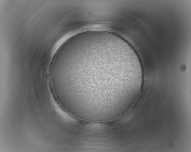 X0000112981474200909031058