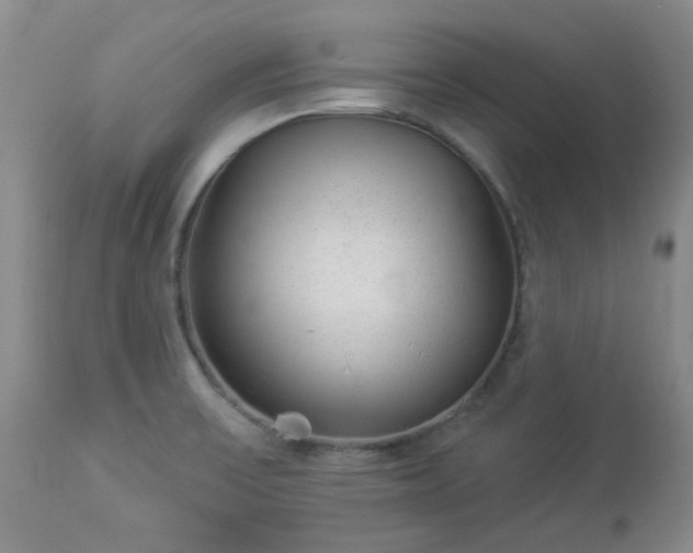 X0000112981475200909031058