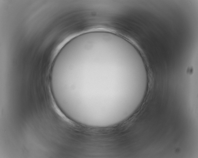 X0000112981476200909031057