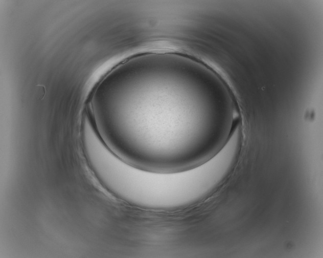 X0000112981477200909031057