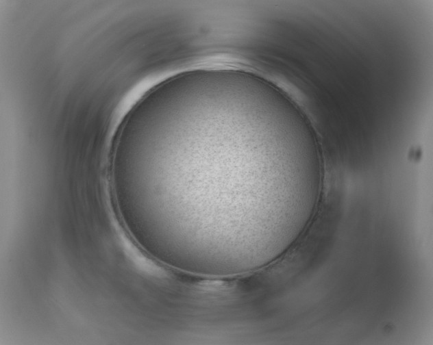 X0000112981478200909031057