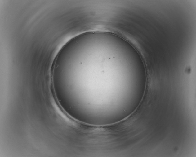 X0000112981479200909031057