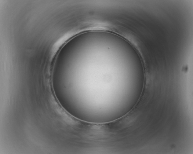 X0000112981480200909031057