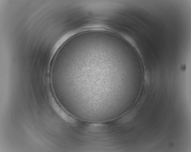X0000112981482200909031057