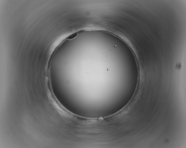 X0000112981485200909031057