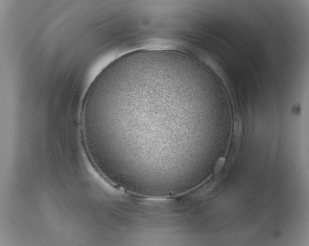X0000112981487200909031057