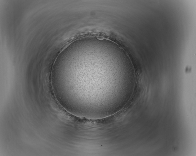 X0000112981489200909031056