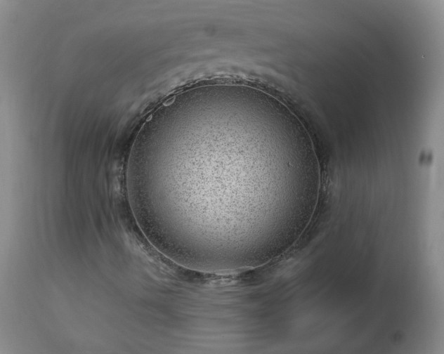 X0000112981490200909031057