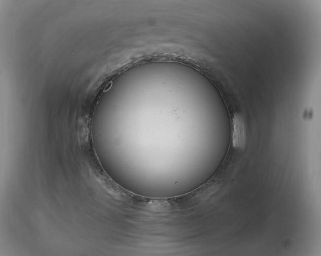 X0000112981491200909031057