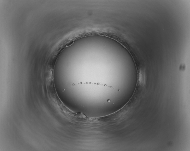 X0000112981492200909031057