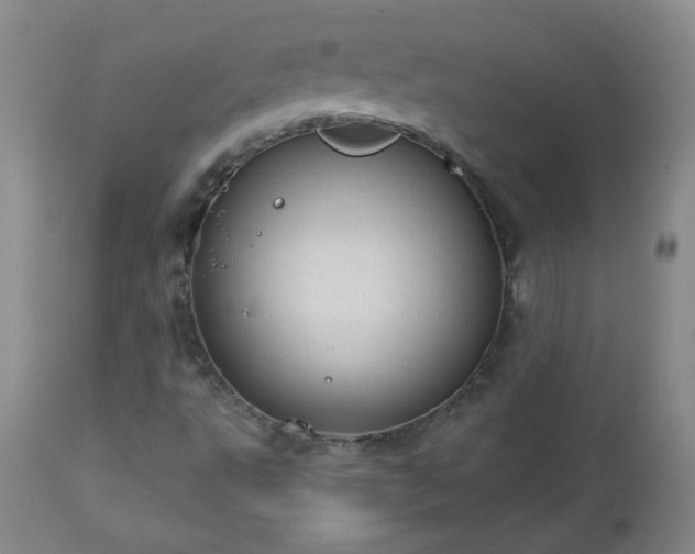 X0000112981495200909031057