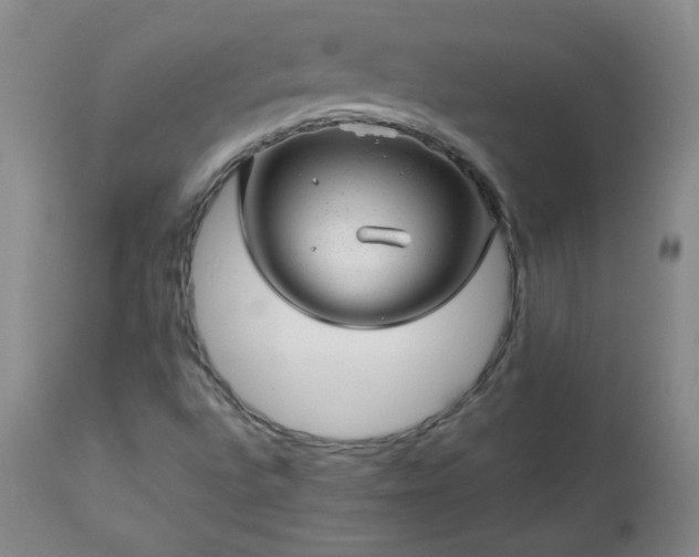 X0000112981496200909031057