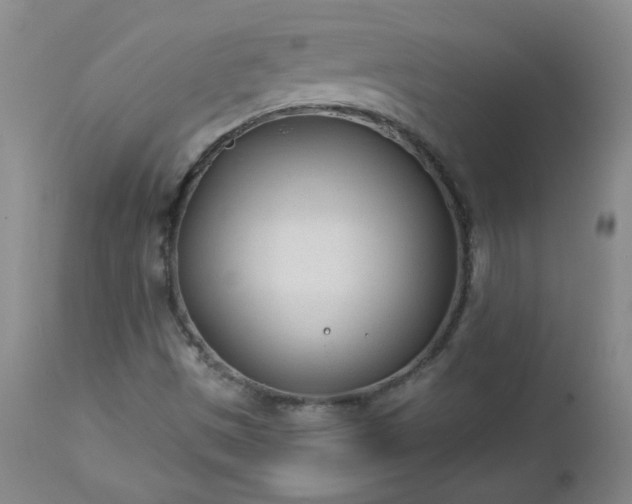 X0000112981497200909031057