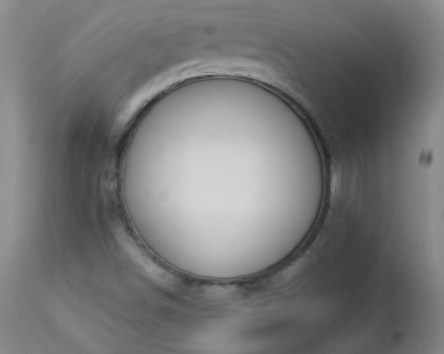 X0000112981498200909031057