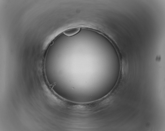 X0000112981500200909031057
