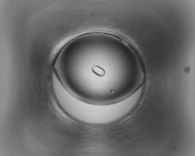 X0000112981504200909031057