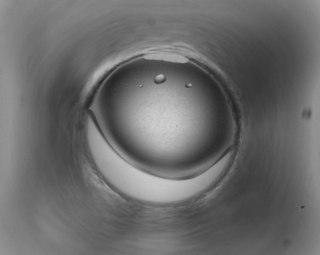 X0000112981506200909031057