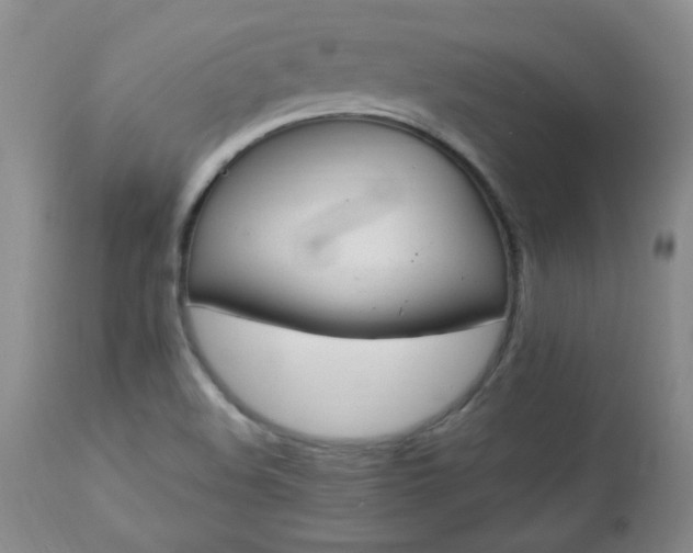 X0000112981508200909031057