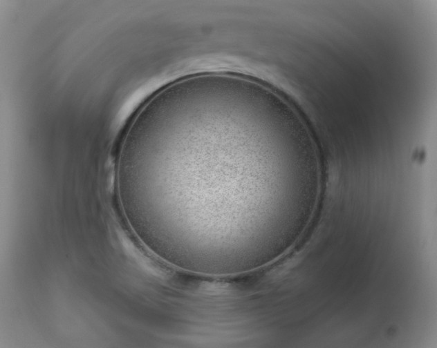 X0000112981509200909031057