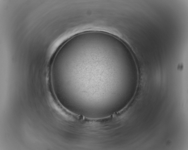X0000112981511200909031057